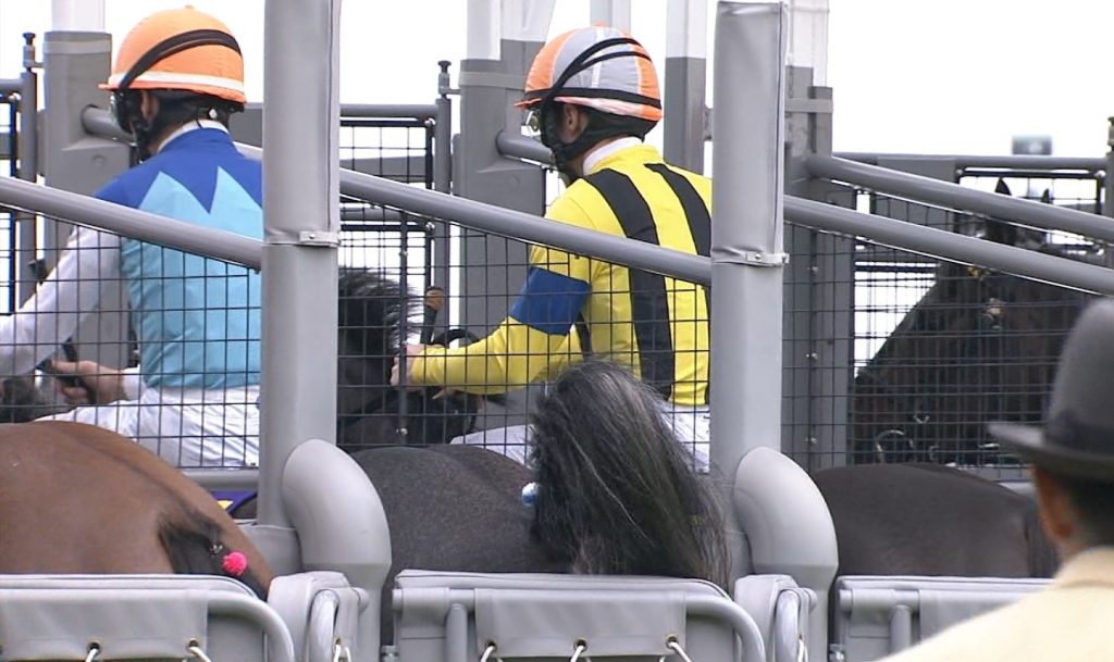 【競馬/オークス】アドマイヤミヤビ 桜花賞のウ○チ疑惑の真相をアイドルが追及