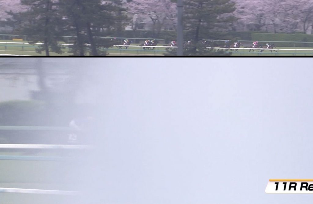 【競馬】テレ東で放送事故wwwww ニュージーランドTレース中に画面真っ白