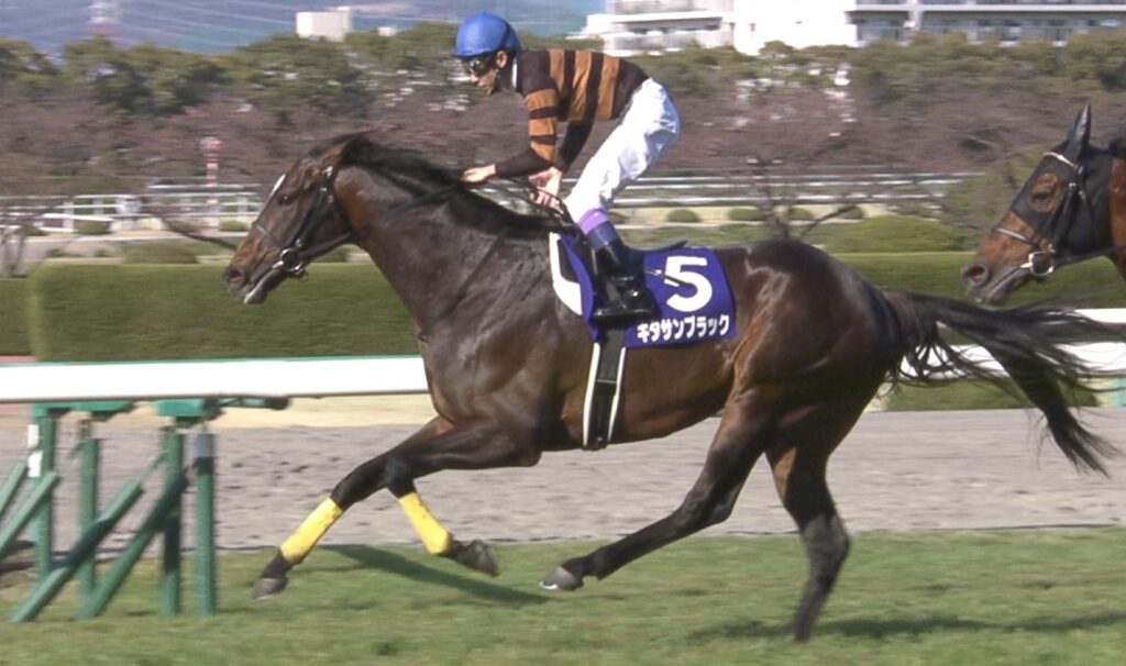【競馬】宝塚記念でキタサンブラックを倒しそうな馬予想