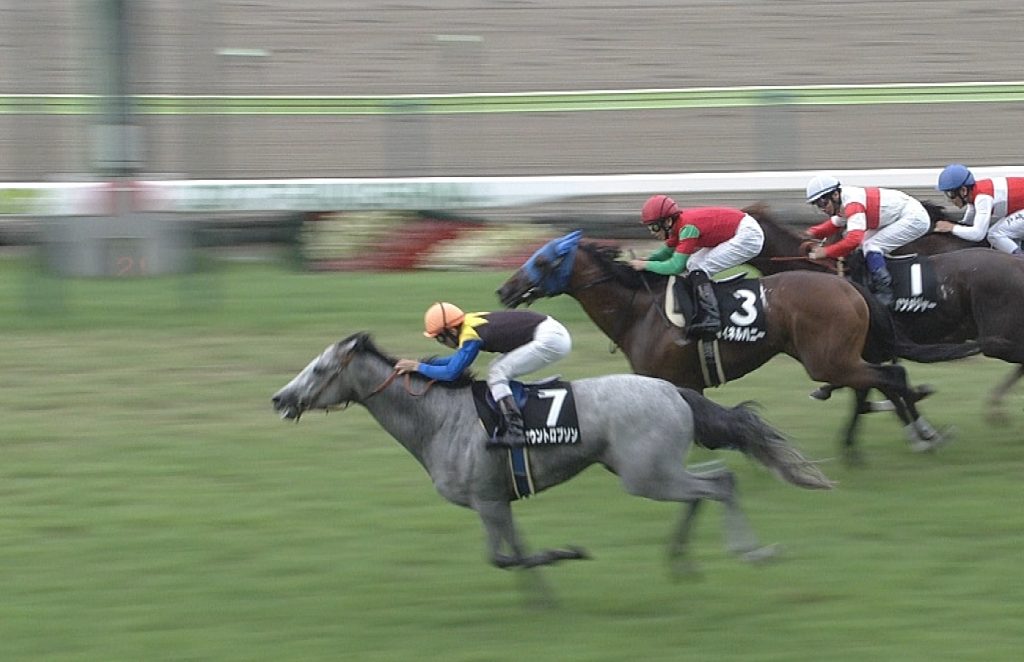 【競馬】福島11R3連単全通りBOX買い