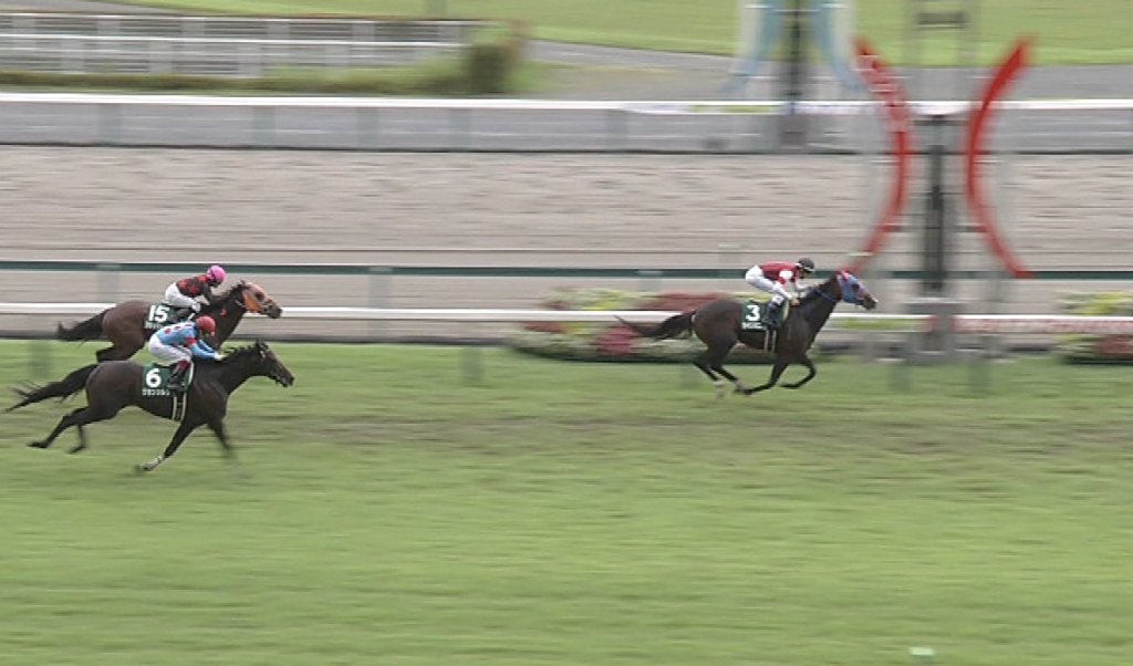 【競馬/中京記念】グランシルクとかウインガニオンとかを買うアホww