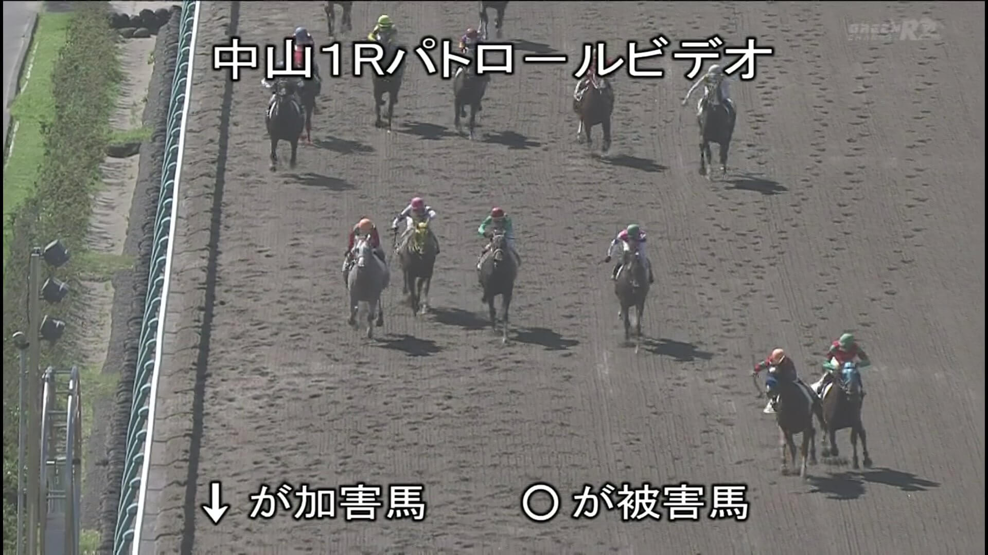 【競馬】今日の中山1R珍しく審議で順位変更ありそうだな
