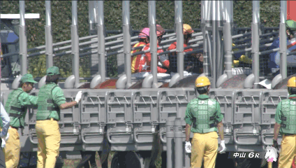【競馬】今日から復帰の菊沢一樹、ゲート内で馬に投げっぱなしジャーマンスープレックスで馬場に叩きつけられる