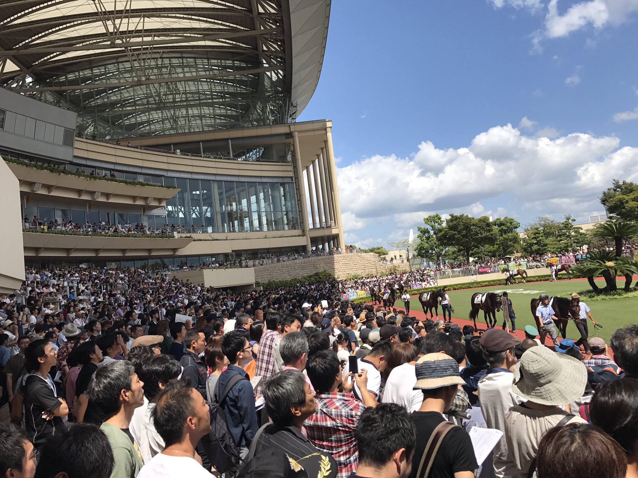 【競馬】菜七子が登場した5Rのパドック糞ワロタwwwwwwwww