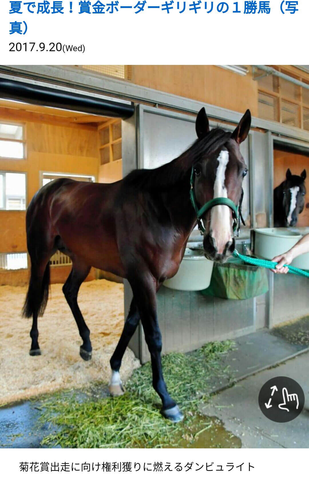 【競馬/神戸新聞杯】ダンビュライトの音無激怒!「指示した時計と違う!二秒も早い。思惑が外れた」