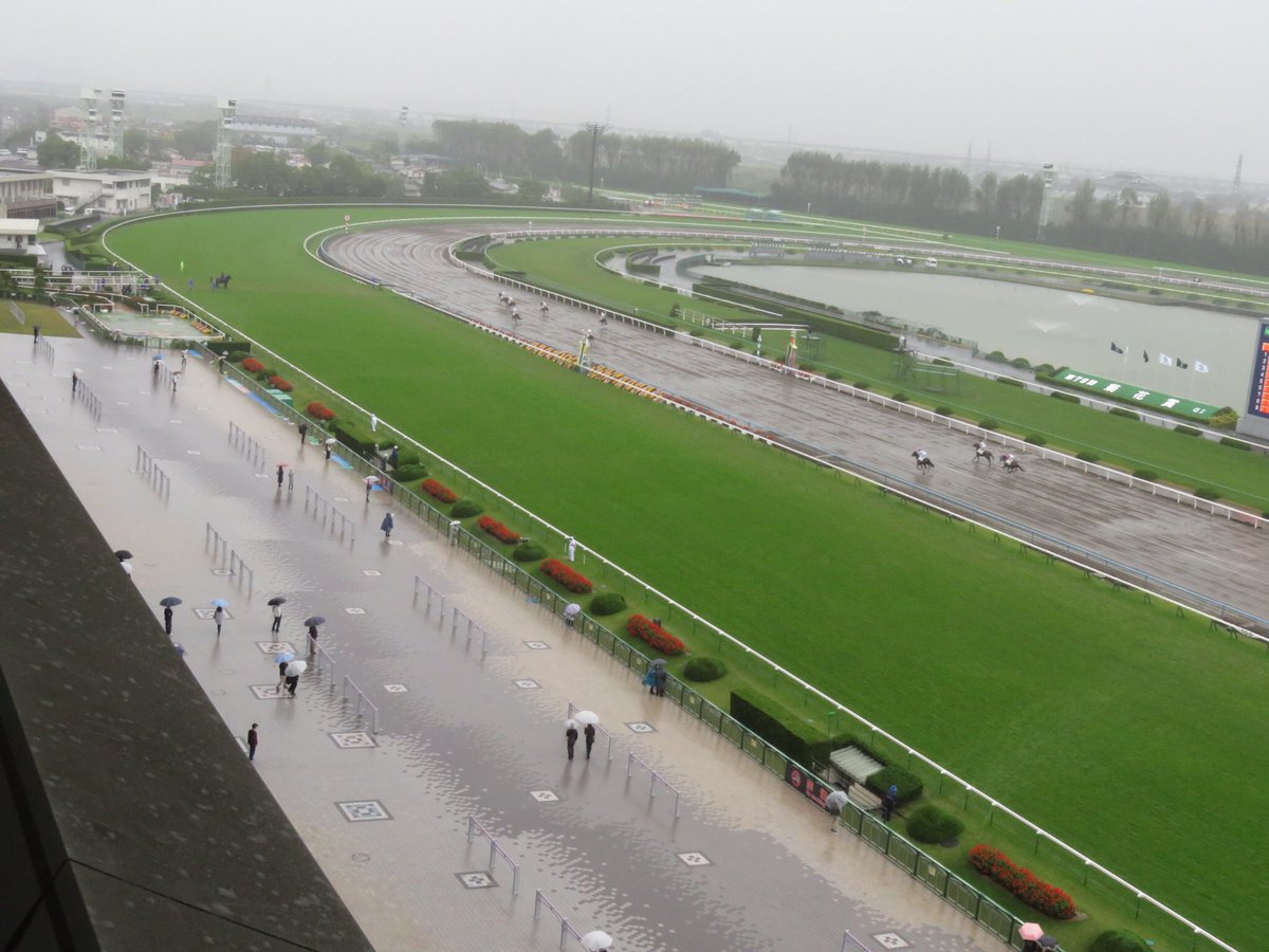 【競馬】菊花賞なのに京都競馬場がガラガラ誰も来ない