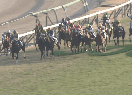 【競馬/有馬記念】ルメデムの挟み撃ちでボウマン撃破www