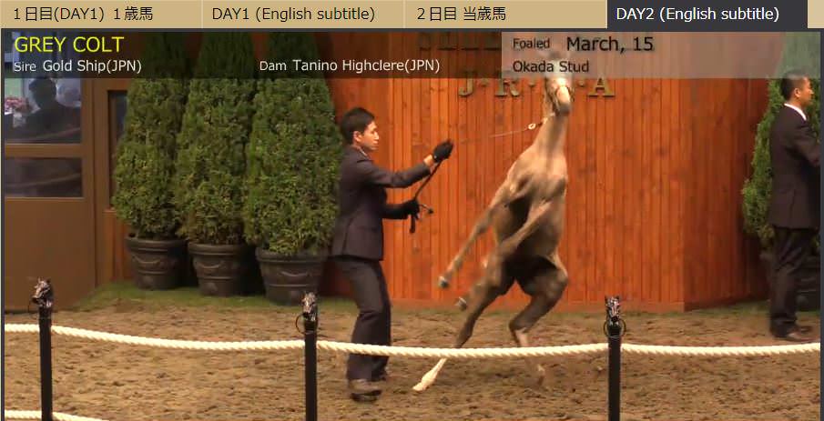 【競馬】ゴールドシップ容疑者(牡8歳)【画像あり】