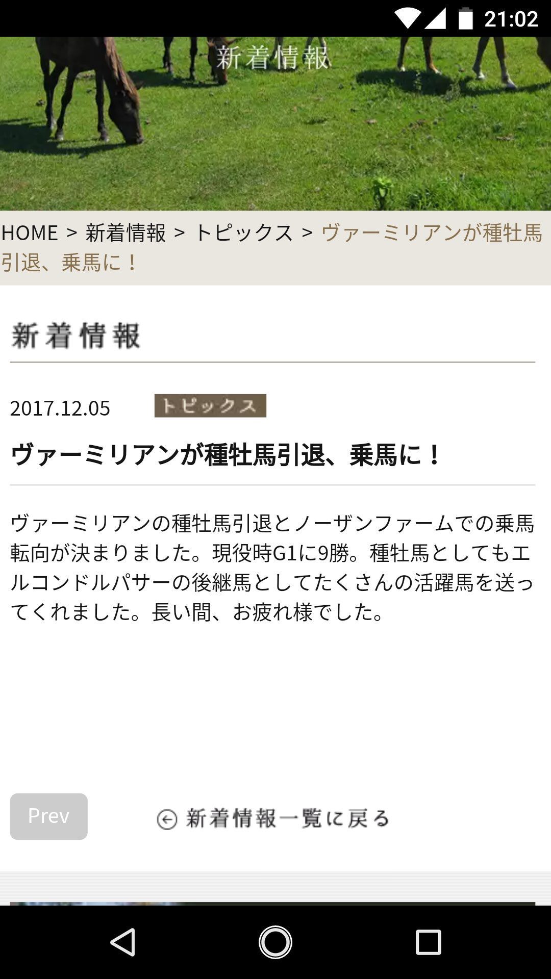 【競馬】ヴァーミリアン種牡馬引退。乗馬転用決定