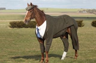 【競馬】帰国したモーリスの防寒着姿がかわいいと話題に