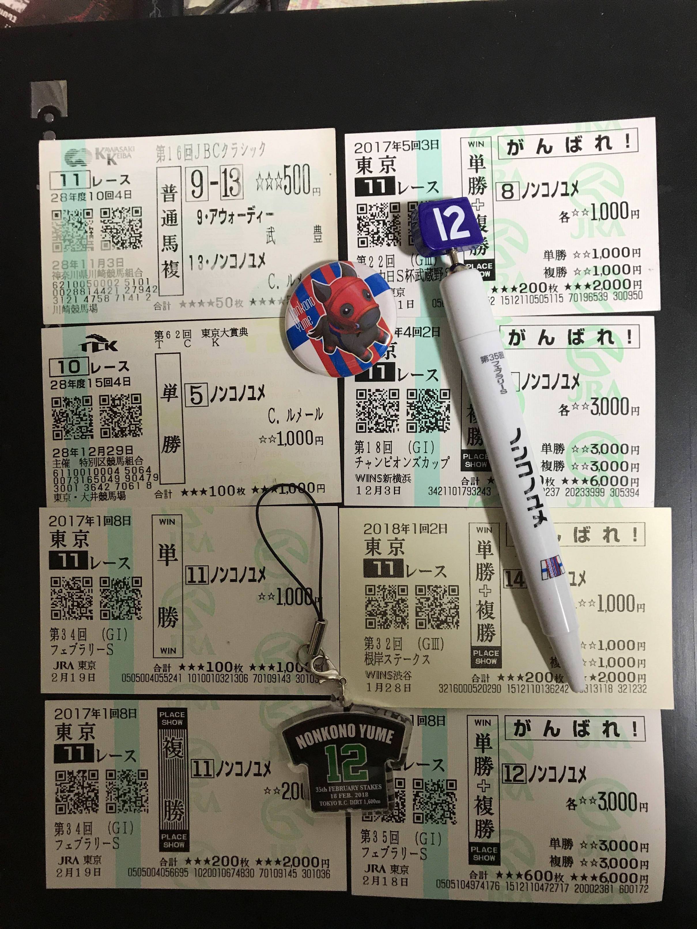 【競馬】ずっとノンコノユメおいかけていた学生だけど、昨日は最後の直線号泣してしまった