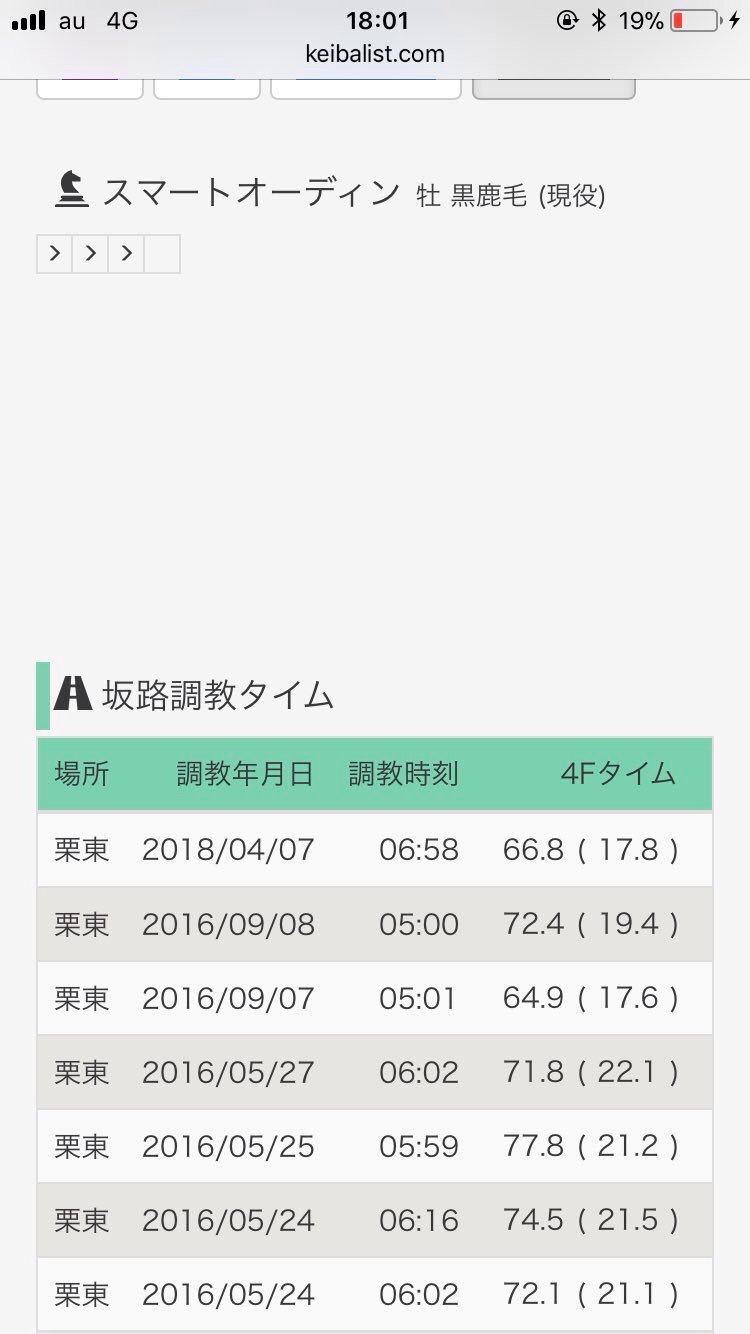 【競馬】スマートオーディン見つかる。入厩、約1年半ぶりの坂路入り