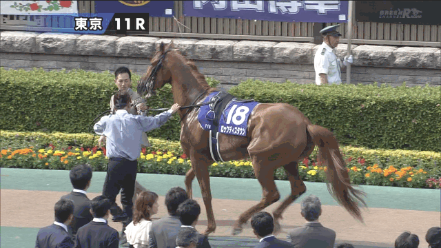 【競馬/NHKマイルC】徹底討論‥ロックディスタウン18着