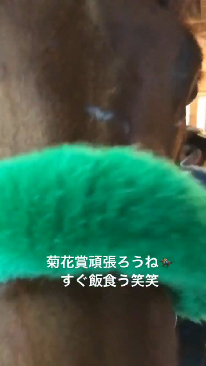 【競馬/菊花賞】池添のブラストワンピース愛wwwwwwwwwwwwww