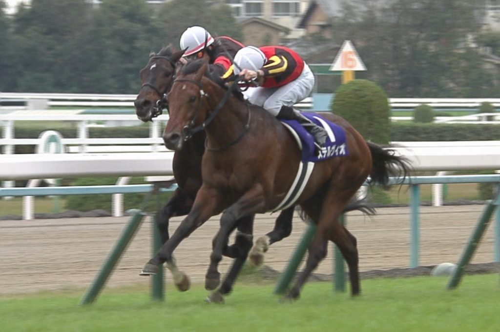 【競馬/マイルCS】ロードカナロアとかいう神種牡馬