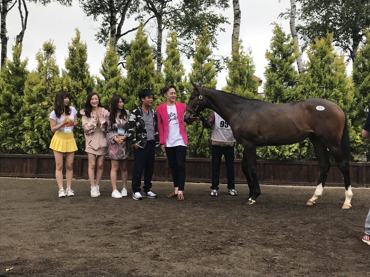 【競馬】セレクトセール爆買いの青汁王子に強制調査、所得隠しの疑い