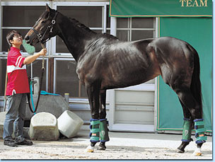 【競馬】漢・藤田伸二氏、ウオッカを必要以上に持ち上げるグリーンチャンネルに激怒wwwwwwwwwwww