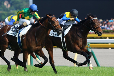 【競馬】サトノダイヤモンドの見た目格好良すぎだろwwwww