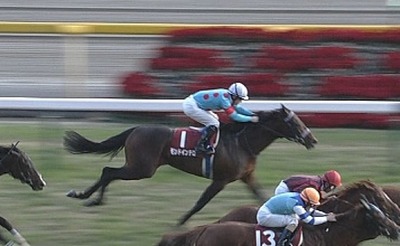 【競馬】ルメール祭wwwwww 東京10Rまで8戦7勝もアルゼンチン共和国杯1番人気4着wwww 【競馬】ルメール祭wwwwww 東京10Rまで8戦7勝もアルゼンチン共和国杯1番人気4着wwww
