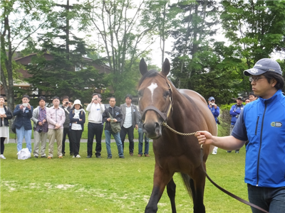 【競馬】サトノダイヤモンドの見た目格好良すぎだろwwwww