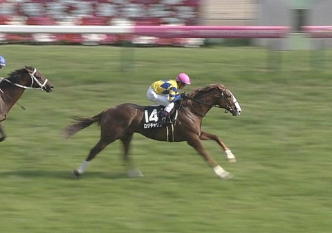 メイSロジチャリス1着