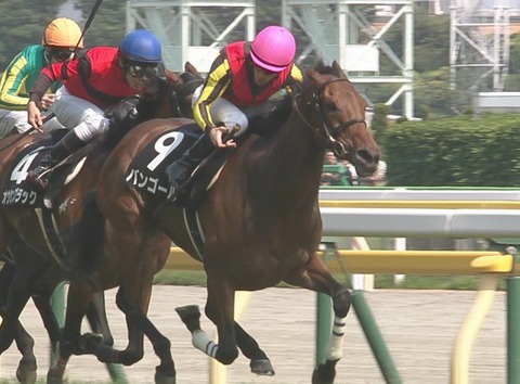 東京9Rバンゴール