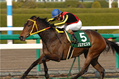【競馬】サトノダイヤモンドの見た目格好良すぎだろwwwww