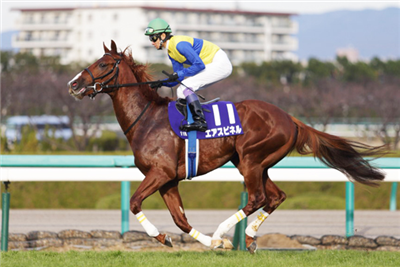 【競馬】サトノダイヤモンドの見た目格好良すぎだろwwwww
