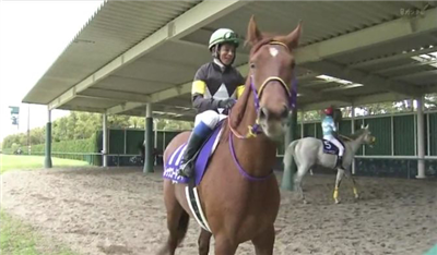 【競馬】サトノダイヤモンドの見た目格好良すぎだろwwwww