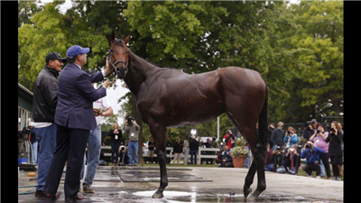 【競馬】ラニ出走で例年より日本競馬ファンが注目するベルモントS!改めて1973年を振り返ってみよう!