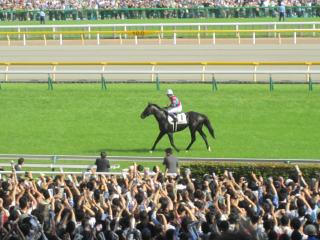 【競馬】2013年の日本ダービーが神すぎる件