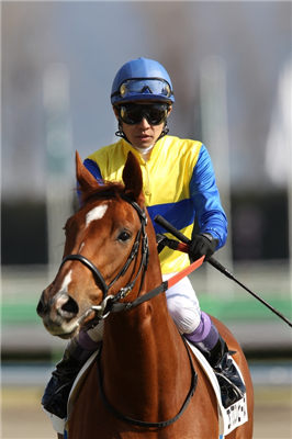 【競馬】一番可愛い競走馬はアパパネ