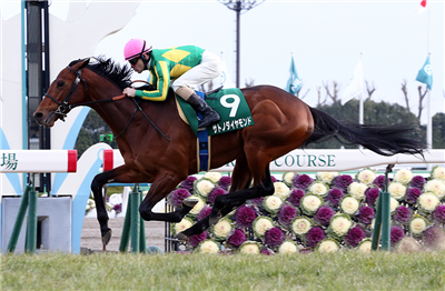 【競馬】サトノダイヤモンドの見た目格好良すぎだろwwwww