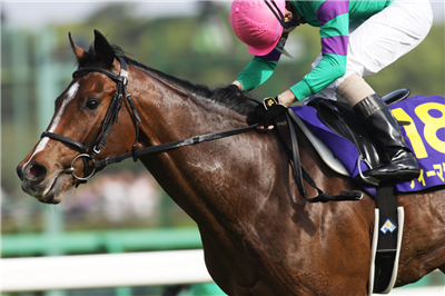 【競馬】サトノダイヤモンドの見た目格好良すぎだろwwwww