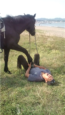 【競馬】ラニの調教後、武豊「うわっ、酷いわ。ダメだった」