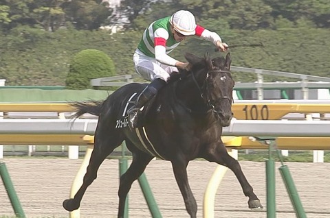 アジュールローズ