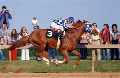 【競馬】ラニ出走で例年より日本競馬ファンが注目するベルモントS!改めて1973年を振り返ってみよう!