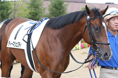 【競馬】サトノダイヤモンドの見た目格好良すぎだろwwwww