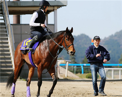 【競馬】サトノダイヤモンドの見た目格好良すぎだろwwwww