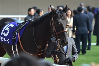 【競馬】サトノダイヤモンドの見た目格好良すぎだろwwwww