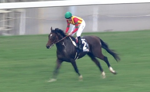香港マイル モーリス