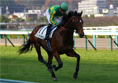 【競馬】サトノダイヤモンドの見た目格好良すぎだろwwwww