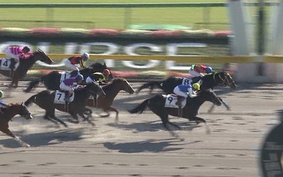 【競馬】東京7レースの1番人気フジタナナコ来るわけねえだろwwwwwwwww 【競馬】東京7レースの1番人気フジタナナコ来るわけねえだろwwwwwwwww