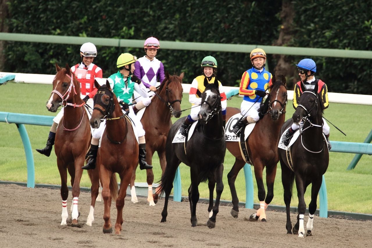 【競馬】菜七子が美浦の騎手連中にモテモテな件