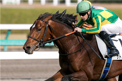 【競馬】サトノダイヤモンドの見た目格好良すぎだろwwwww