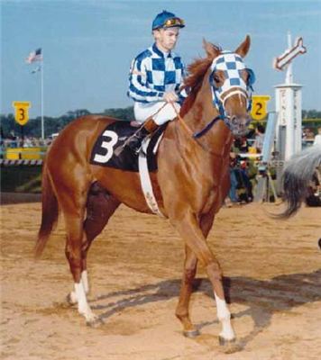 【競馬】ラニ出走で例年より日本競馬ファンが注目するベルモントS!改めて1973年を振り返ってみよう!