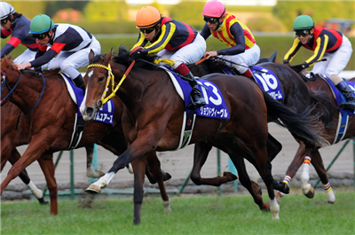 【競馬】サトノダイヤモンドの見た目格好良すぎだろwwwww