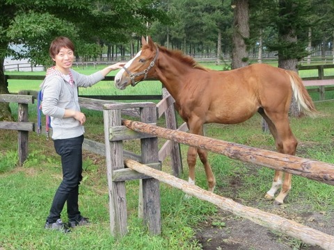 【競馬】名牝たちはなぜ繁殖に失敗したのか 【競馬】名牝たちはなぜ繁殖に失敗したのか