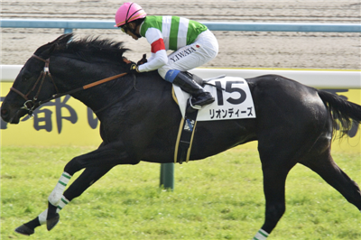 【競馬】サトノダイヤモンドの見た目格好良すぎだろwwwww