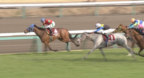 マイネルハニー2着
